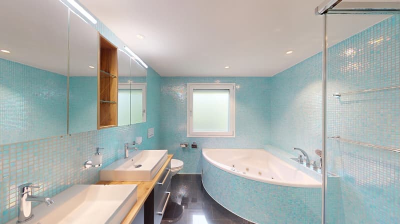 Elegante 9. Zi. Landhausvilla mit modernem Indoorpool am Muttenzer Dürrberg (8)