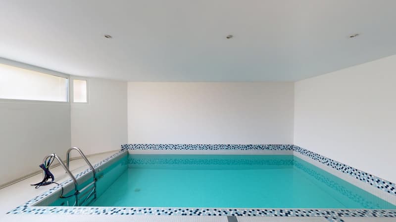 Elegante 9. Zi. Landhausvilla mit modernem Indoorpool am Muttenzer Dürrberg (12)
