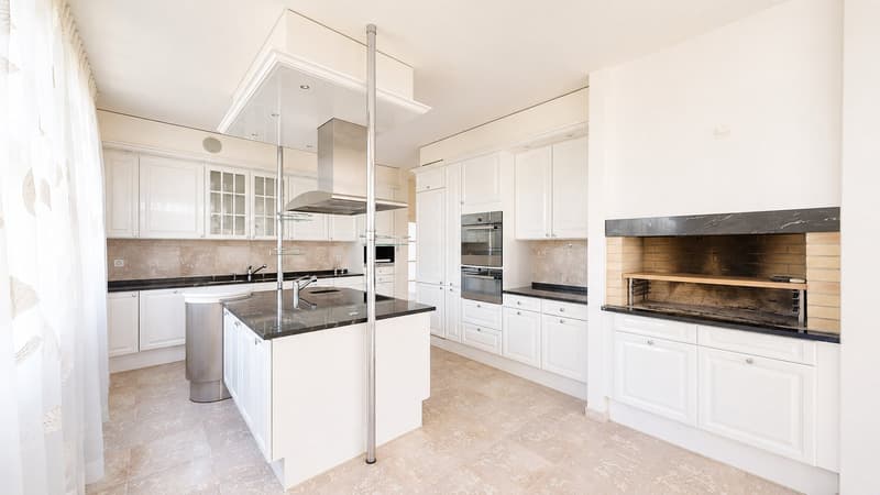 Representative 284qm Attika-Wohnung mit Lift zwei TG-Plätzen drei Balkonen und eigener Sauna (3)