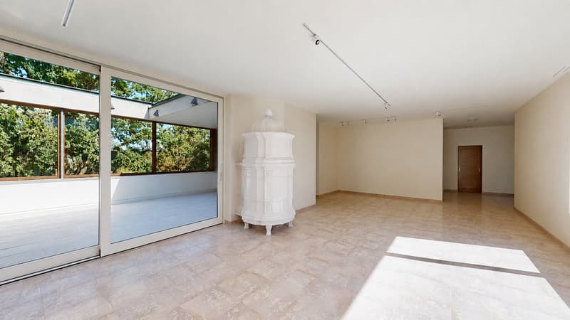 Representative 284qm Attika-Wohnung mit Lift zwei TG-Plätzen drei Balkonen und eigener Sauna (4)