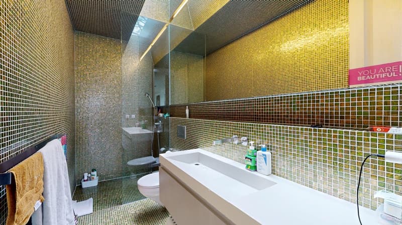 Lichtdurchlässige Räume in offener Architektur - grosszügiger Innenhof mit Pool in Binningen (10)