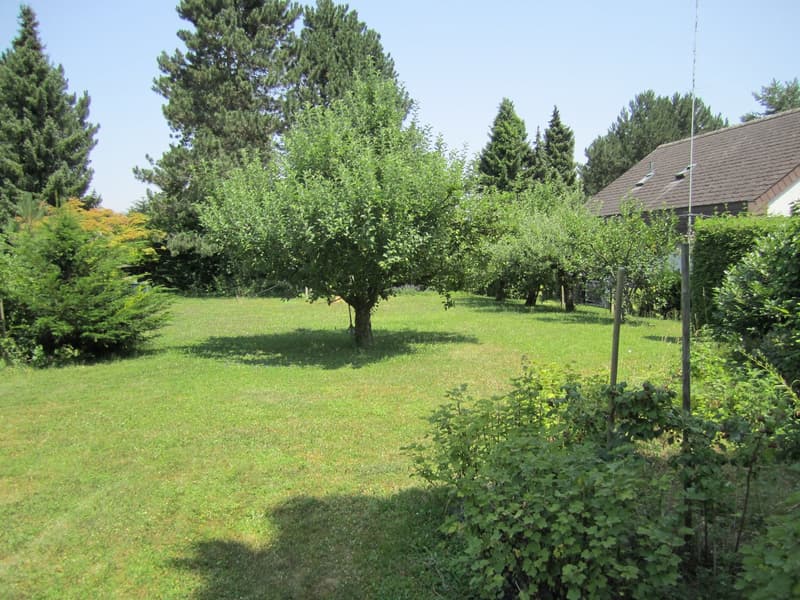 Seltene Gelegenheit am Rosenberg 788 m² Bauland an top Lage (3)