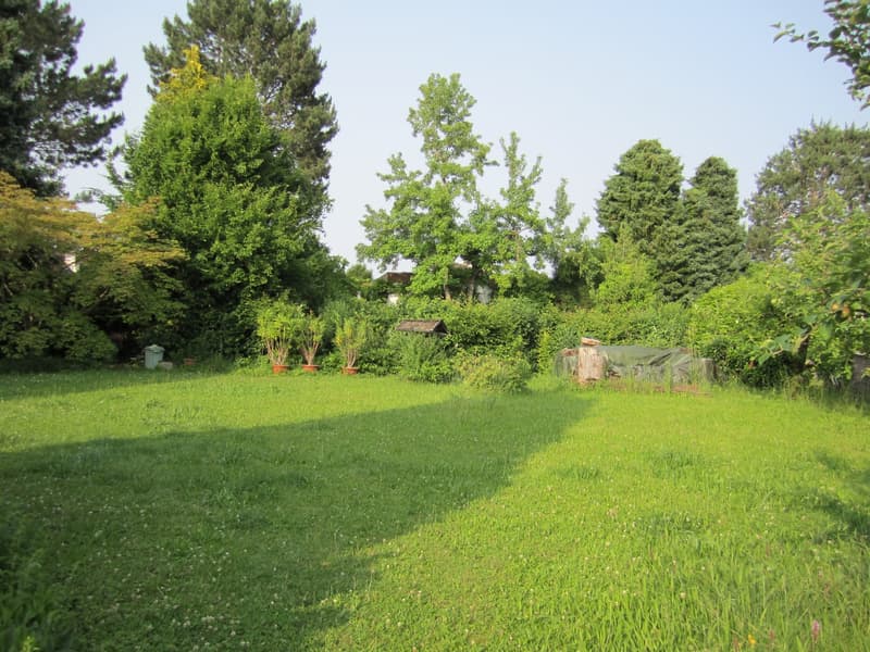 Seltene Gelegenheit am Rosenberg 788 m² Bauland an top Lage (4)