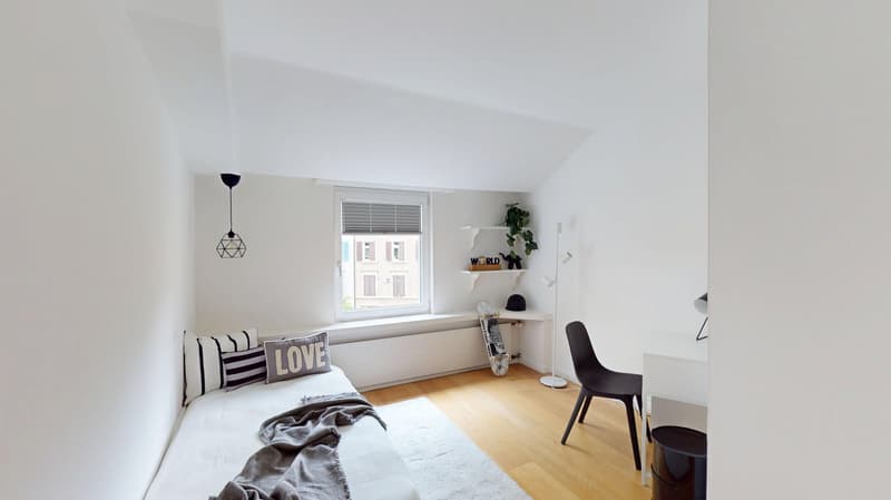 A fully refurbished 10-room townhouse in the Spalen district near  the Spalentor and  Uni of Basel (13)