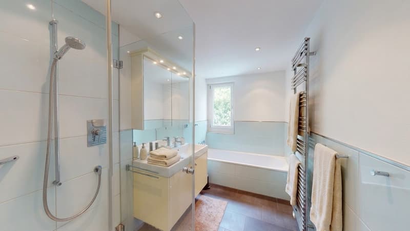 Exklusive 10-Zimmer-Villa mit Pool und eigenem Fitnessraum in Binningen (10)
