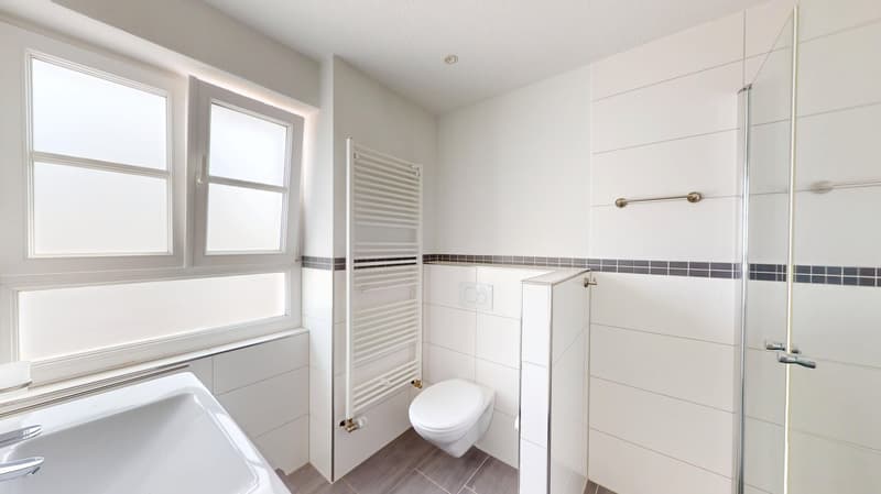 Ihre private Wohlfühloase: Grosszügiges 2-Parteienhaus mit Naturpool & Lounge-Garten (8)