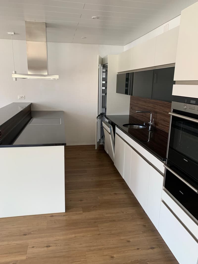 Exklusives Wohnjuwel: Grosszügige Moderne-Wohnung mit Terrasse & Kaminecke (1)