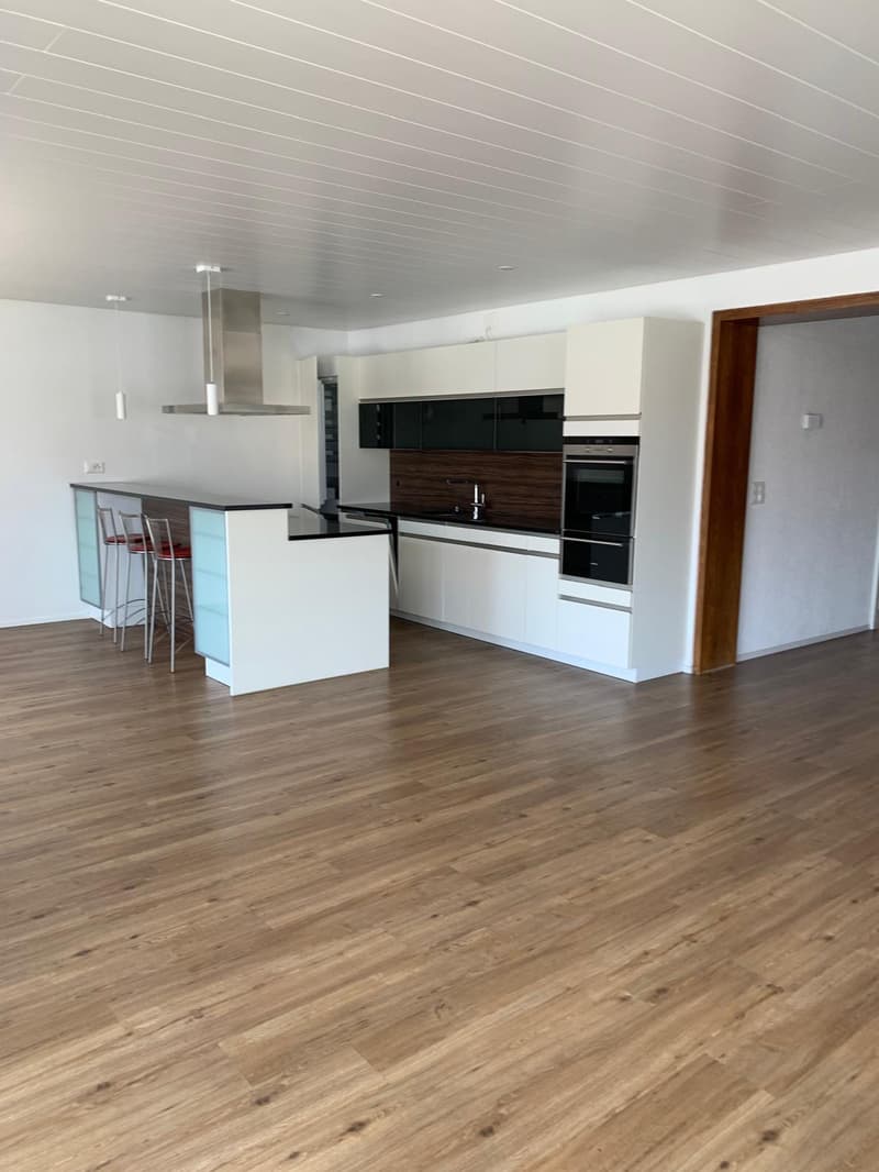 Exklusives Wohnjuwel: Grosszügige Moderne-Wohnung mit Terrasse & Kaminecke (2)
