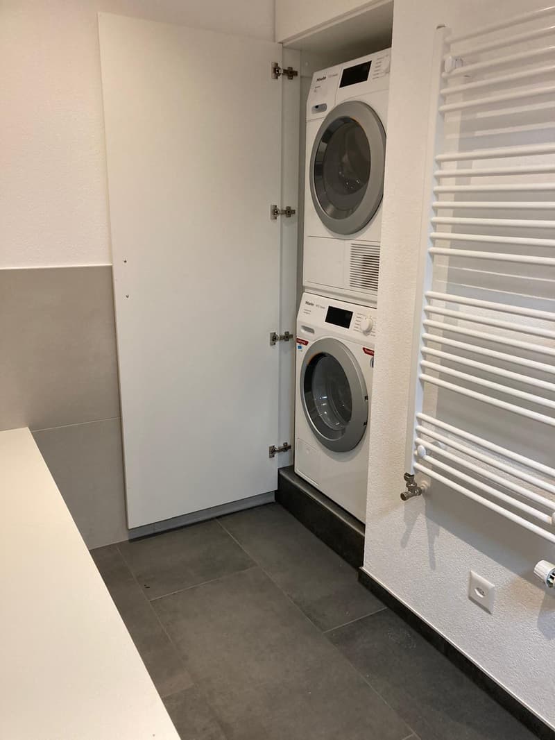 Grosse 3 1/2- Zimmer Traumwohnung sucht neue Bewohner/innen (8)