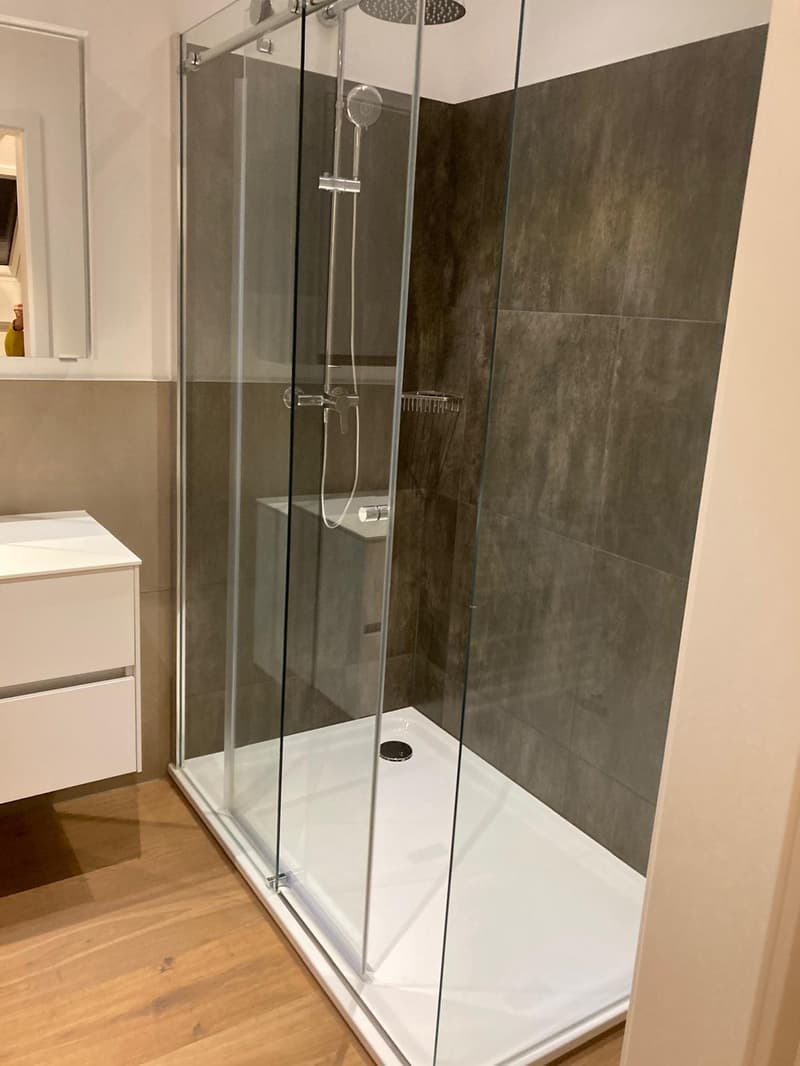 Grosse 3 1/2- Zimmer Traumwohnung sucht neue Bewohner/innen (6)