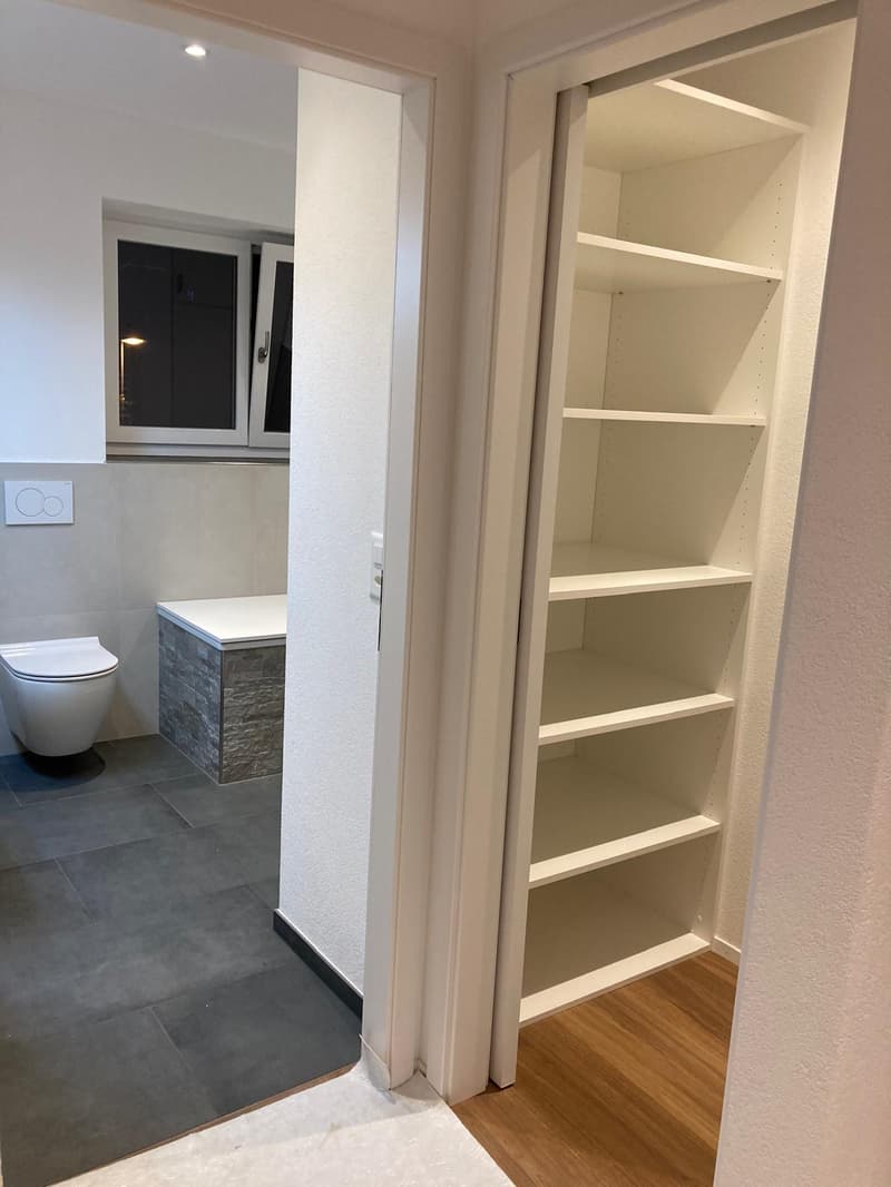 Grosse 3 1/2- Zimmer Traumwohnung sucht neue Bewohner/innen (9)