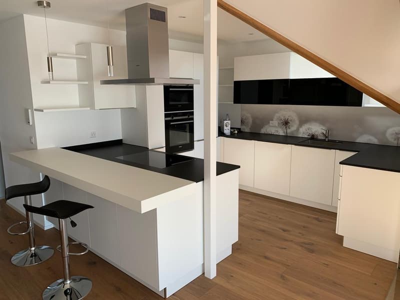 Grosse 3 1/2- Zimmer Traumwohnung sucht neue Bewohner/innen (2)