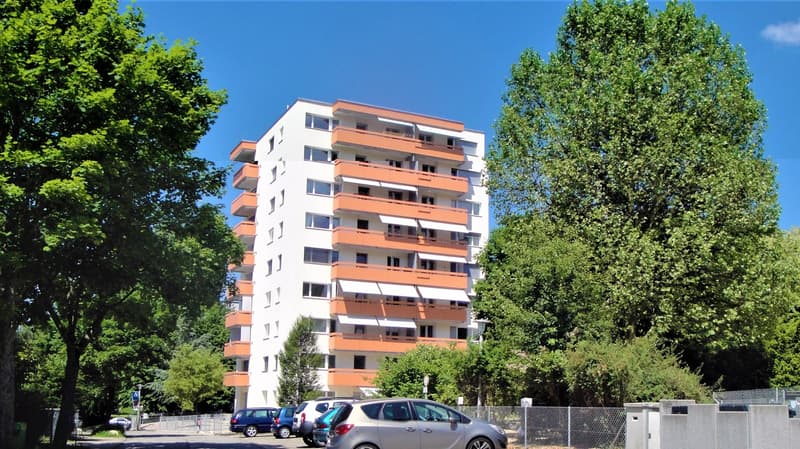 Aussenparkplatz in Dornach zu vermieten (1)