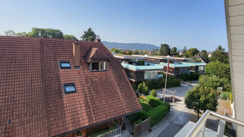 house with brown roof, multiple chimneys, balcony, windows with wooden frames, balcony railing, plants and flowers, trees and shrubs in the garden, paved pathway, neighboring houses and building in the distance