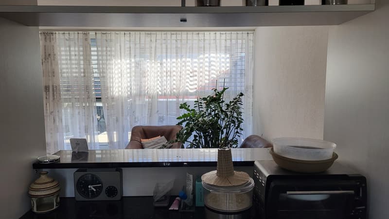 kitchen with a view to the street, a chair, a plant, a microwave, a clock, a vase