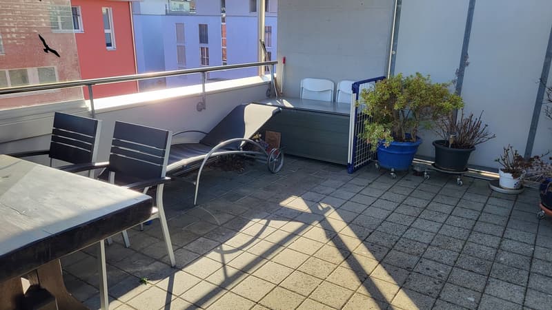 Balcony with table, chairs, lounge chair, storage box, plants