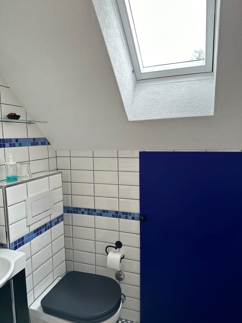 Dusche WC