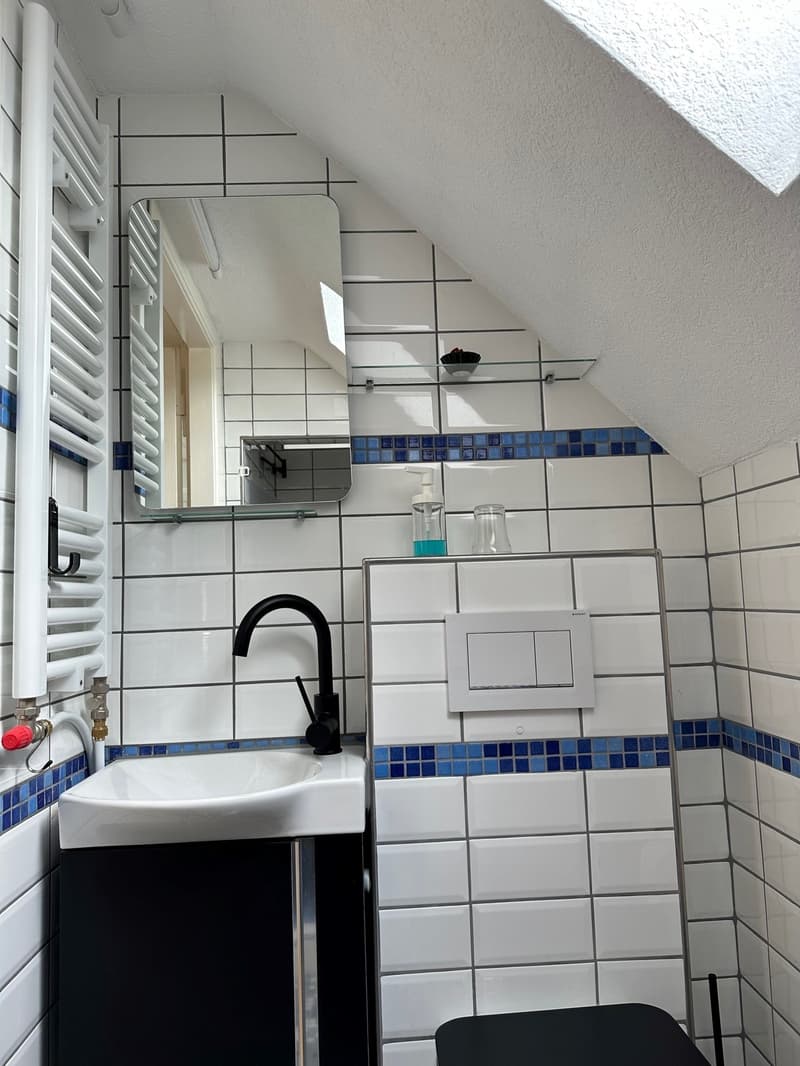 moderne Dusche WC