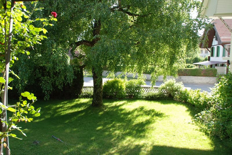 Wohnhaus mit Gewerbetrakt (9)