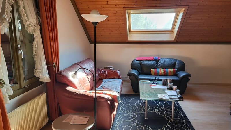 Wohnhaus mit Gewerbetrakt (36)