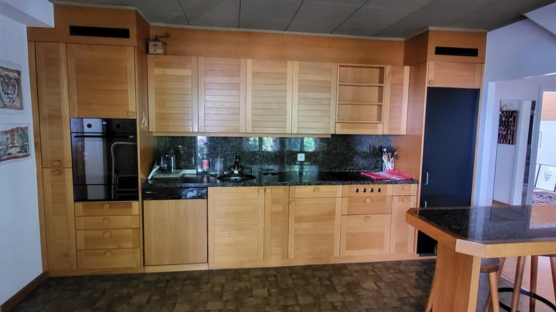 Wohnhaus mit Gewerbetrakt (28)