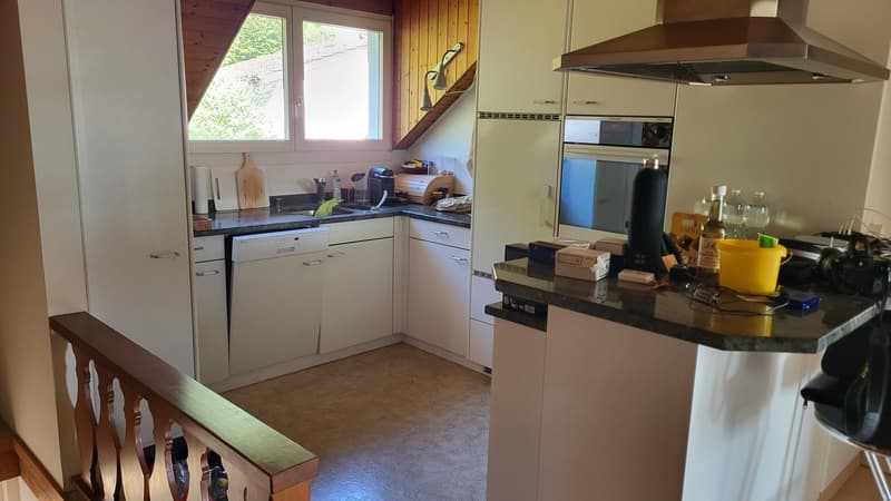 Wohnhaus mit Gewerbetrakt (39)