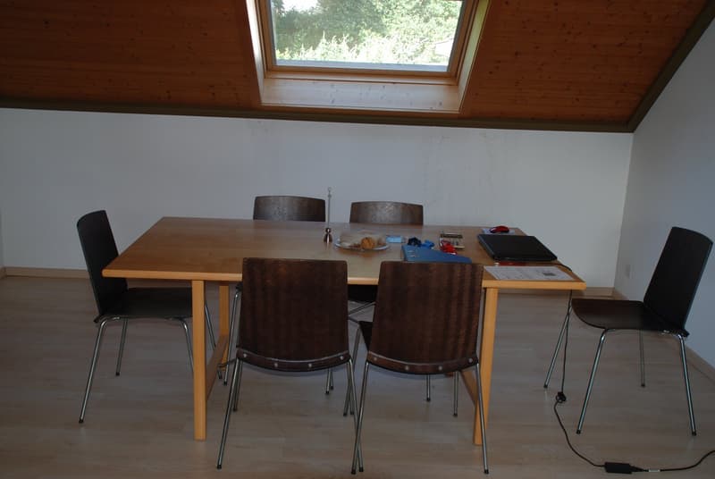 Wohnhaus mit Gewerbetrakt (37)