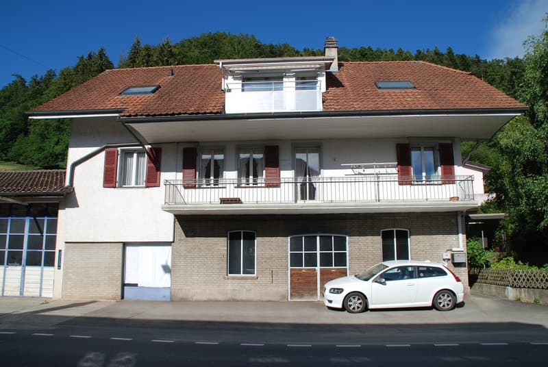 Wohnhaus mit Gewerbetrakt (2)