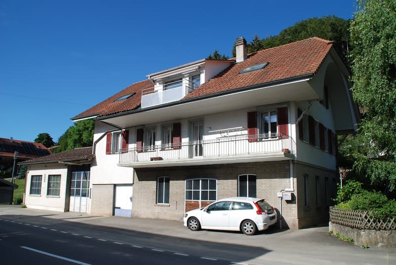 Wohnhaus mit Gewerbetrakt (3)
