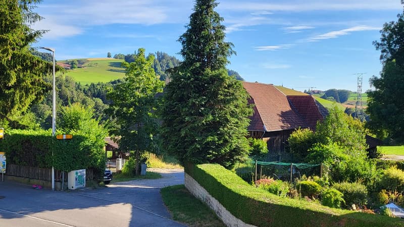 Wohnhaus mit Gewerbetrakt (15)