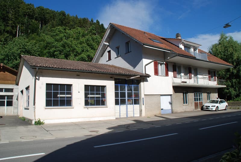 Wohnhaus mit Gewerbetrakt (1)