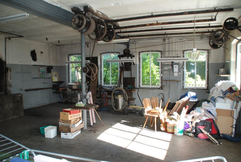 Wohnhaus mit Gewerbetrakt (22)