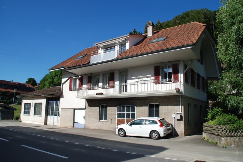Wohnhaus mit Gewerbetrakt (4)