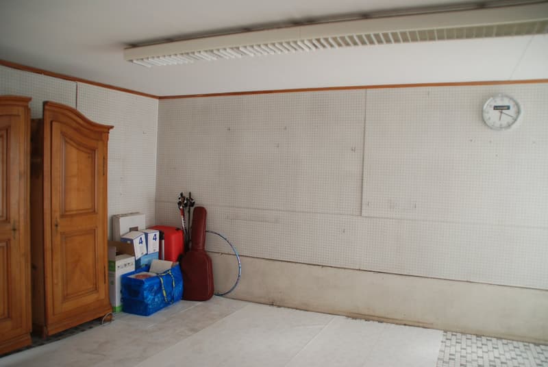 Wohnhaus mit Gewerbetrakt (21)