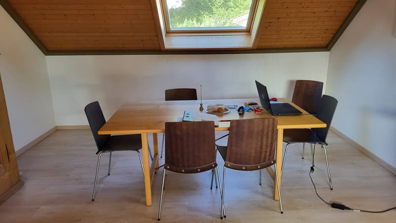 Wohnhaus mit Gewerbetrakt (35)