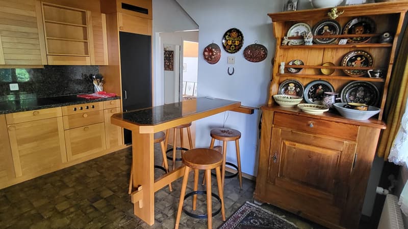 Wohnhaus mit Gewerbetrakt (27)