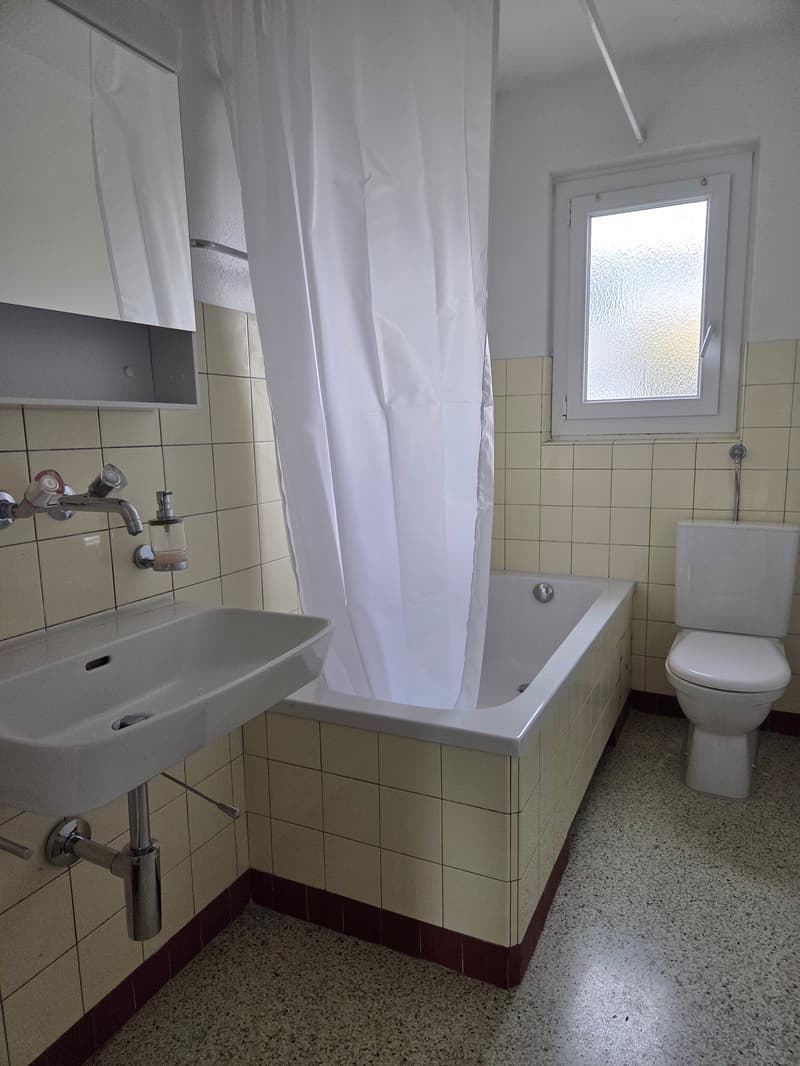 3.5 Zimmerwohnung an ruhiger Lage zu vermieten (3)