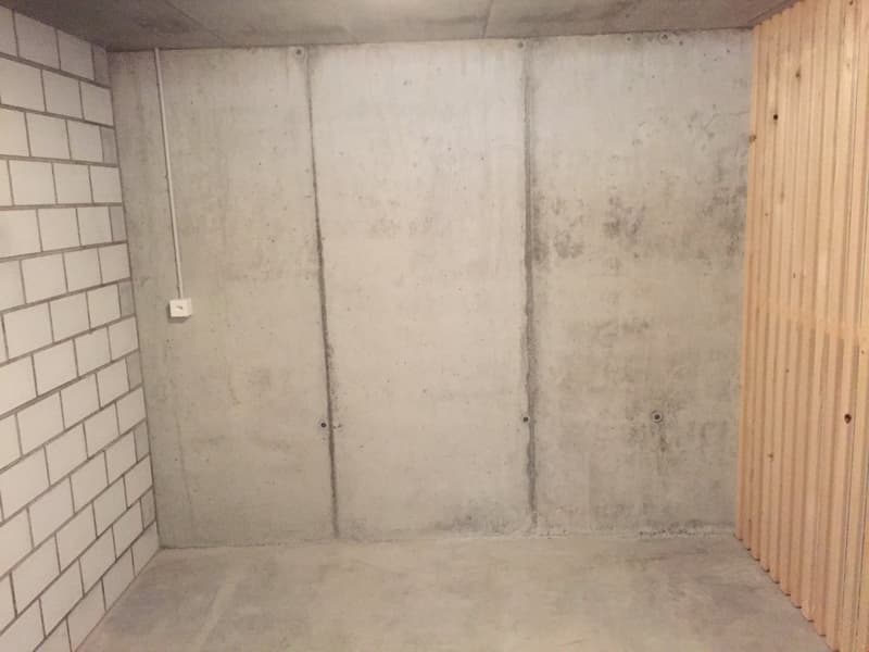 Moderne 3.5-Zimmerwohnung mit Sitzplatz (11)
