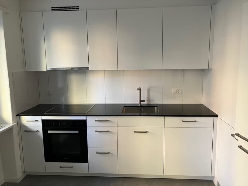 Appartement 3.5 pièces / Première location après rénovation complète (2)