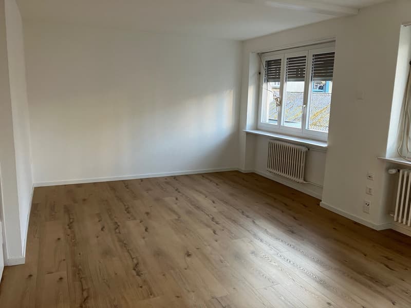 Appartement 3.5 pièces / Première location après rénovation complète (5)