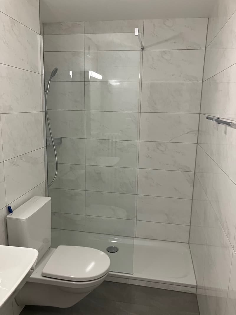 Appartement 3.5 pièces / Première location après rénovation complète (4)