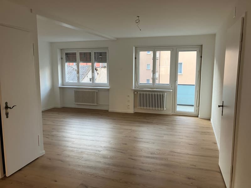 Appartement 3.5 pièces / Première location après rénovation complète (3)