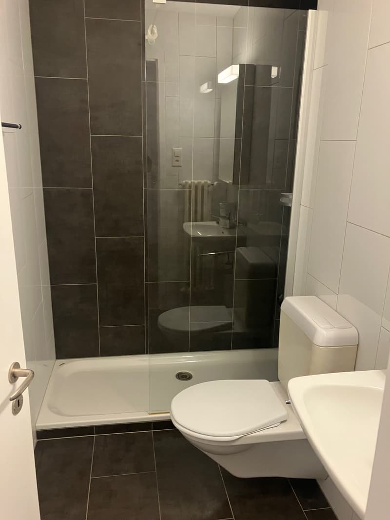 Appartement 3.5 pièces / Première location après rénovation complète (4)