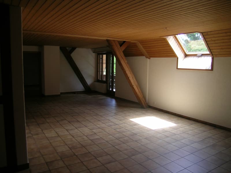 158 m2 Gemütlichkeit (6)