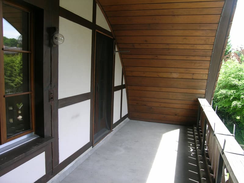 158 m2 Gemütlichkeit (12)