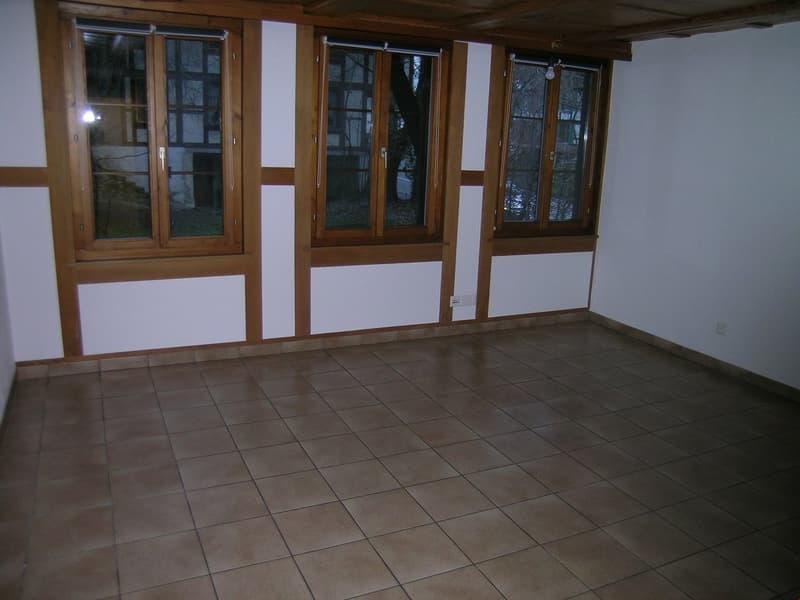 Gemütliche sehr grosse 4.5 Zimmer-Wohnung mit eigenem Garten (9)