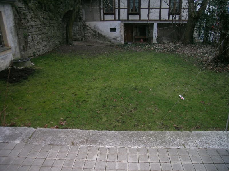 Gemütliche sehr grosse 4.5 Zimmer-Wohnung mit eigenem Garten (10)