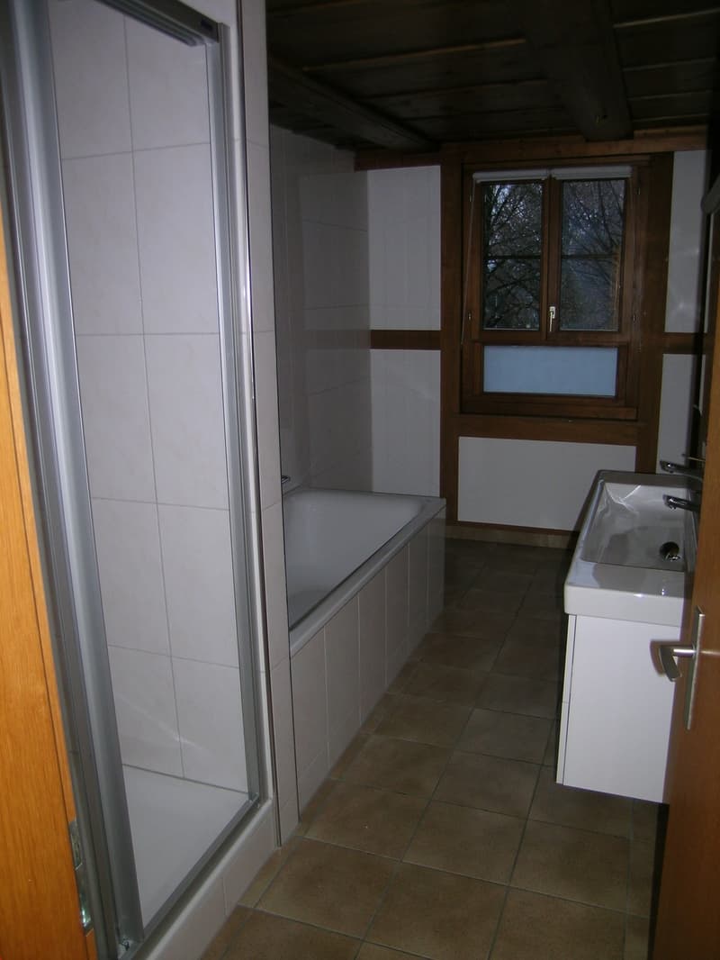 Gemütliche sehr grosse 4.5 Zimmer-Wohnung mit eigenem Garten (6)