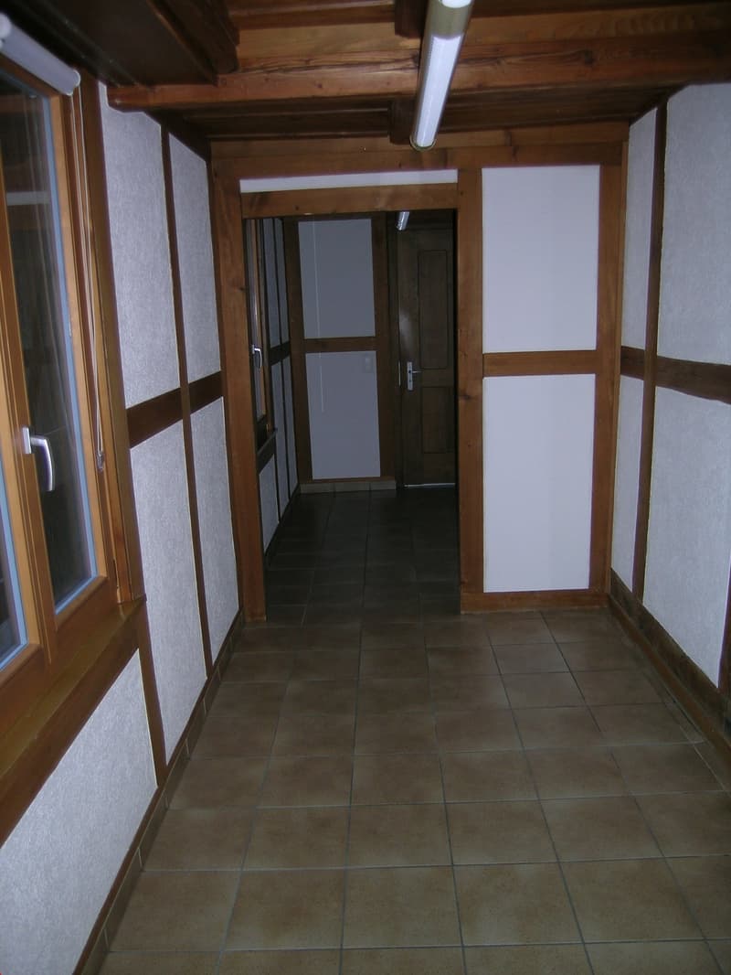 Gemütliche sehr grosse 4.5 Zimmer-Wohnung mit eigenem Garten (4)