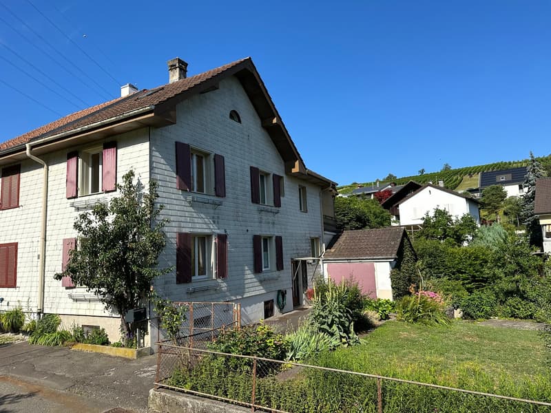 Doppeleinfamilienhaus an ruhiger Lage in Pratteln (1)